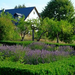Gästezimmer mit Mehrwert durch: Weingarten, Obstgarten, Bauerngarten, Schmetterlingsgarten, Bienenhotel